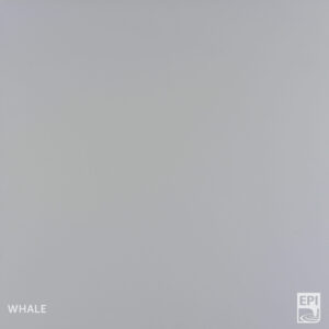 Superbase Classic Solid Whale